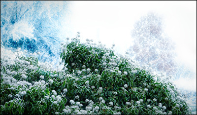 Eiszeit