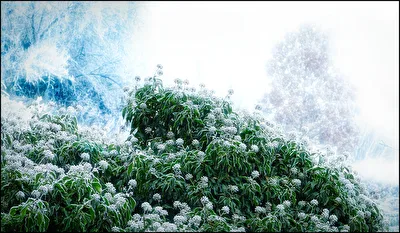 Eiszeit