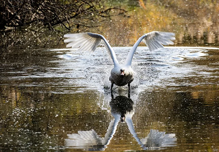 On Approach