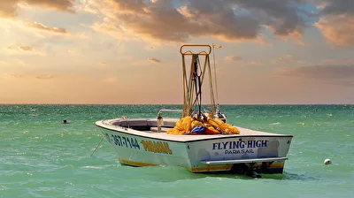 Flying high