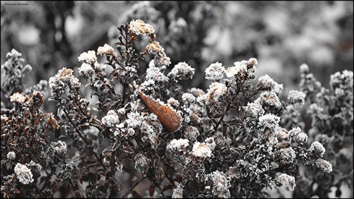 frierende Natur.