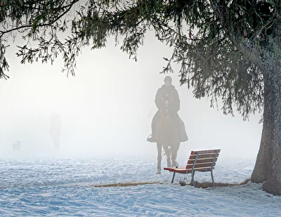Pferd im Nebel