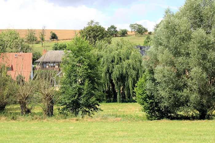 Baumbewuchs an der Nautschke
