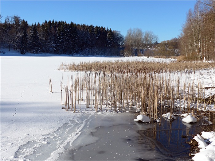 Winterlicher Teich