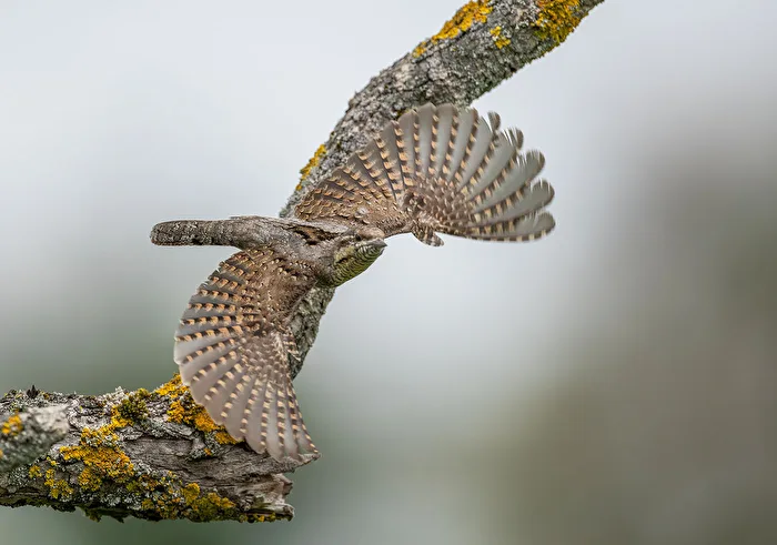 Abflug