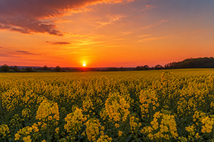 Sonnenuntergang in Zeulenroda
