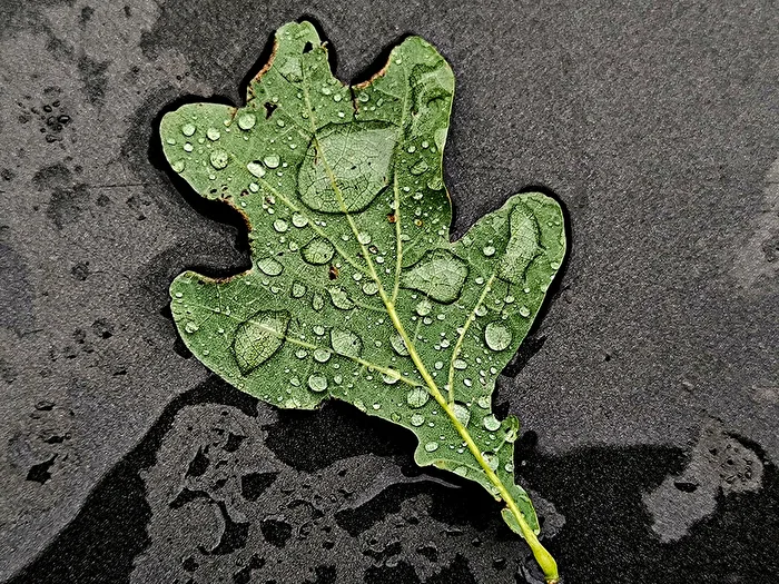Jour de pluie