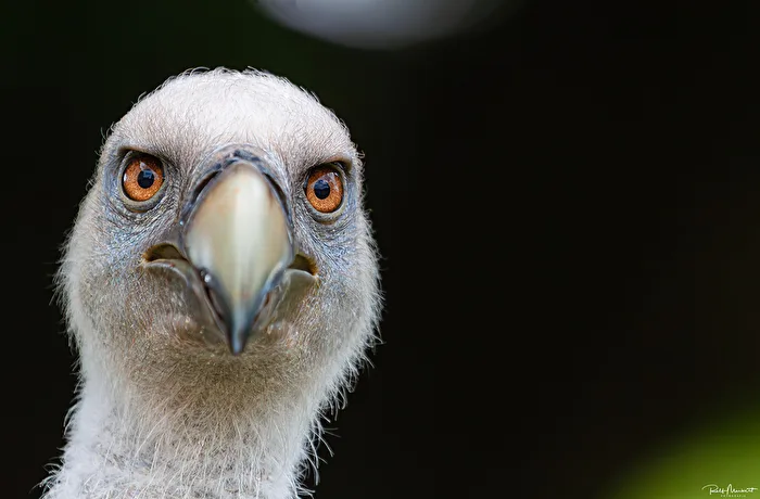 Der Blick...