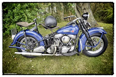Harley