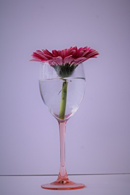 Blumen mal anders