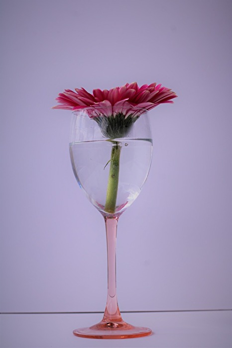 Blumen mal anders