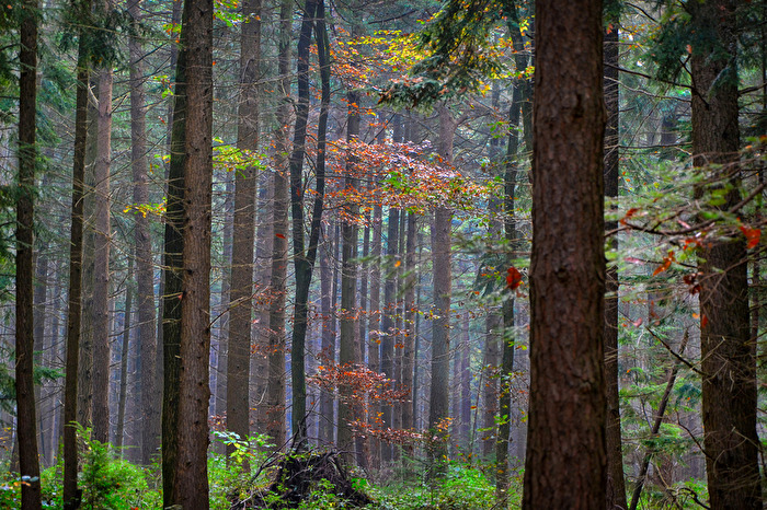 Licht ins Dunkel
