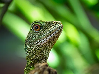 ***Ich hab dich im Blick***