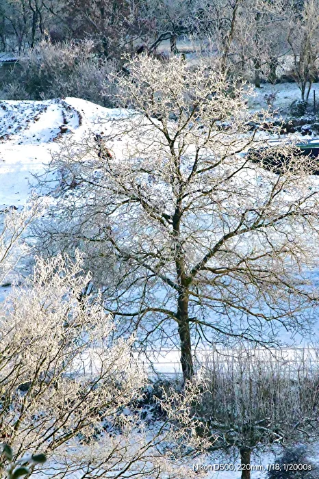 Paese delle meraviglie invernale