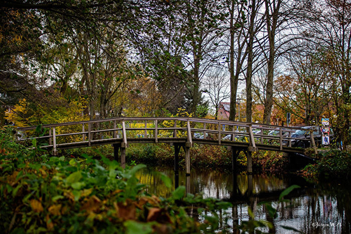 Brücke im Park