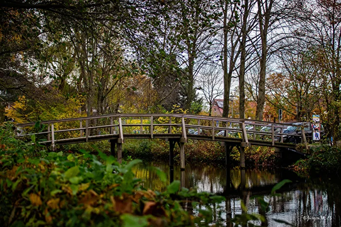 Brücke im Park