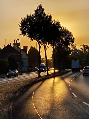 Morgengold
