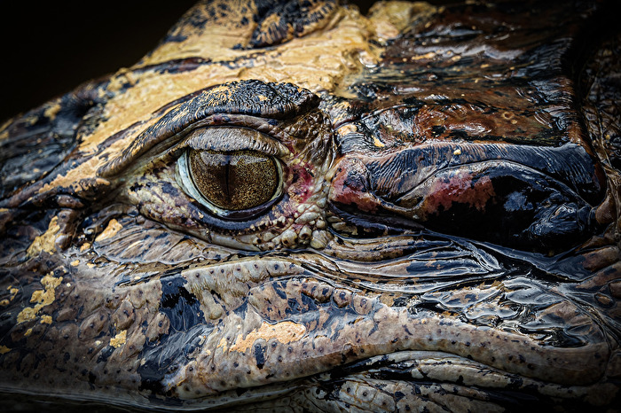 im Auge des Betrachters