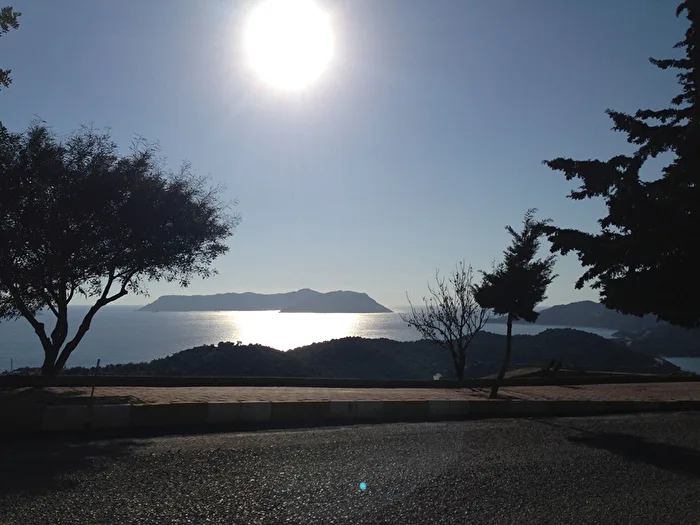 Evening Sun