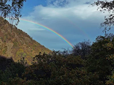 Regenbogen