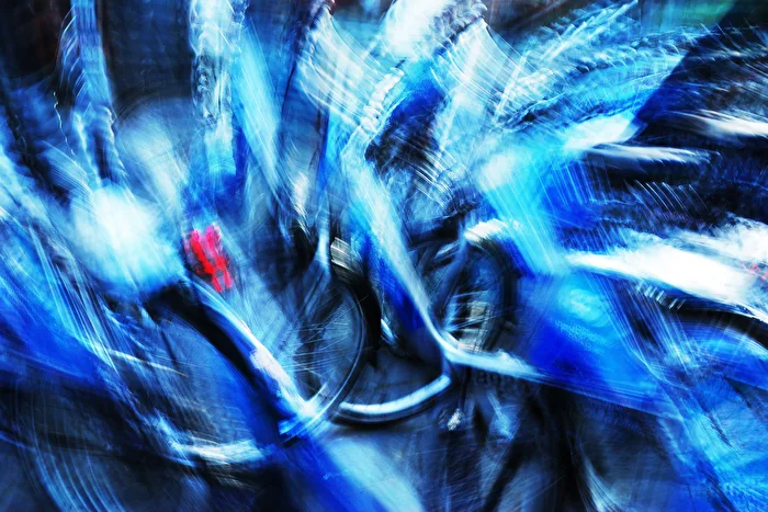 Wild Bikes