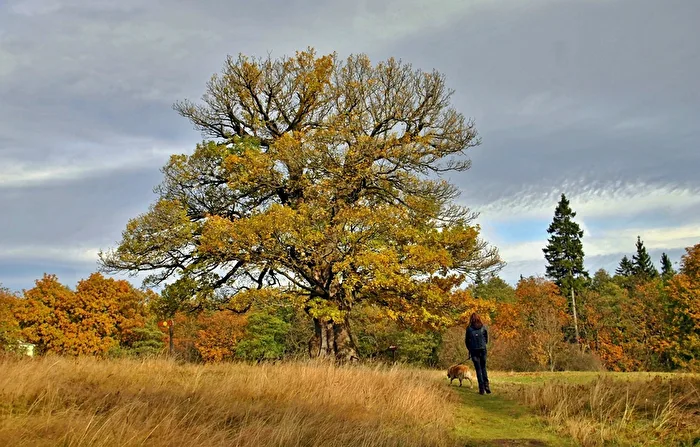 Herbstspaziergang