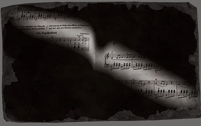 Música_por notas