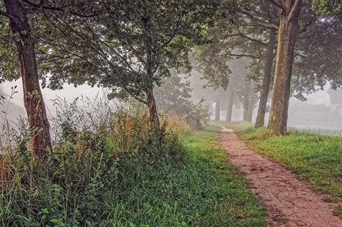Weg im Nebel