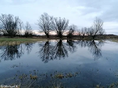ohne Titel