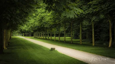 Die Allee