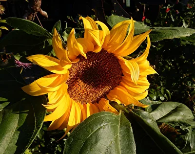 etwas Farbe
