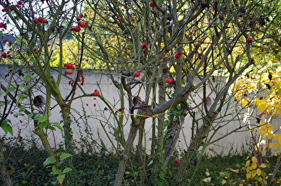 ohne Titel