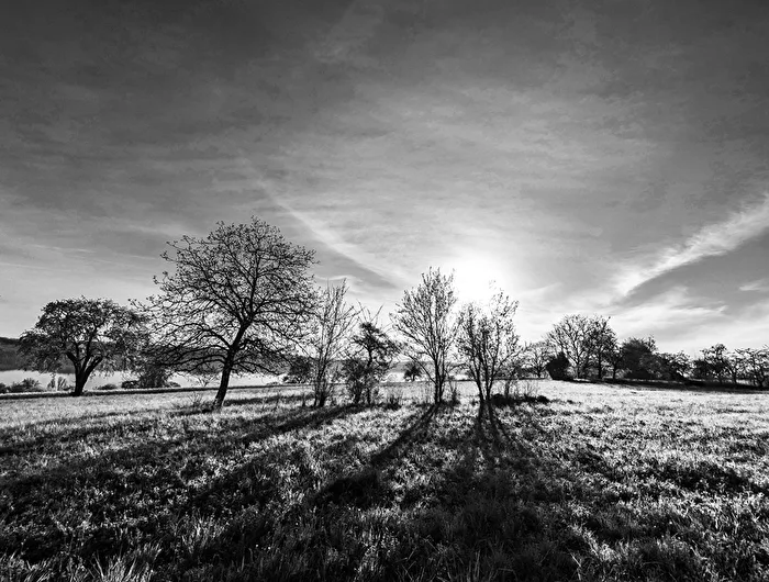 morning shadows
