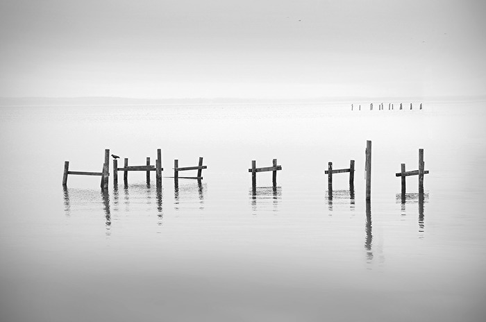 Steinhuder Meer