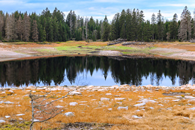 Stausee im Harz mit Niedrigwasser.