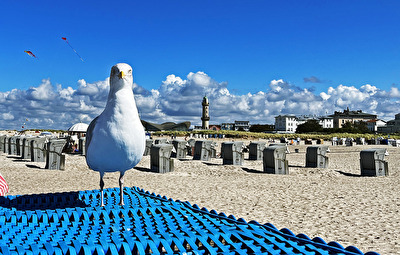 Die Möwe und ich, früh am Morgen, am Strand...