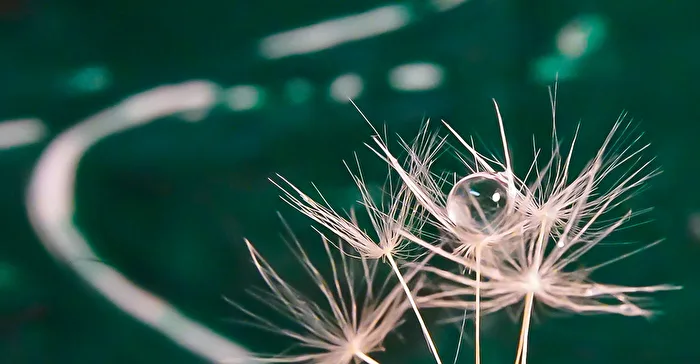 The journey of a drop