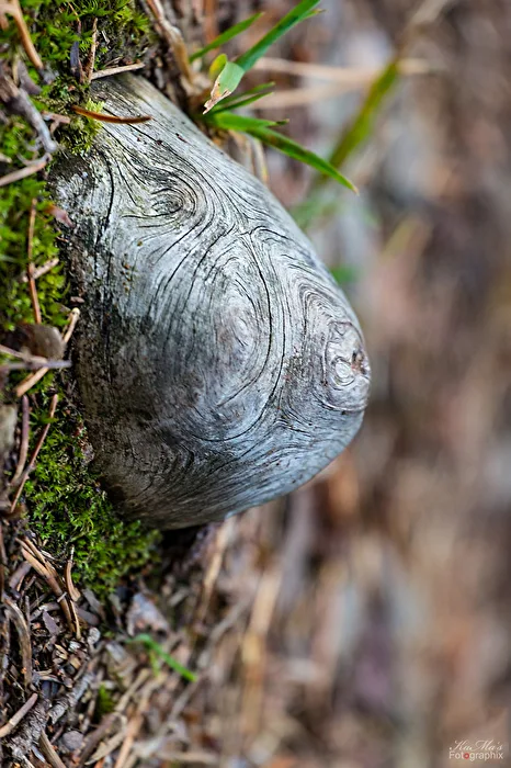 Kreative Natur