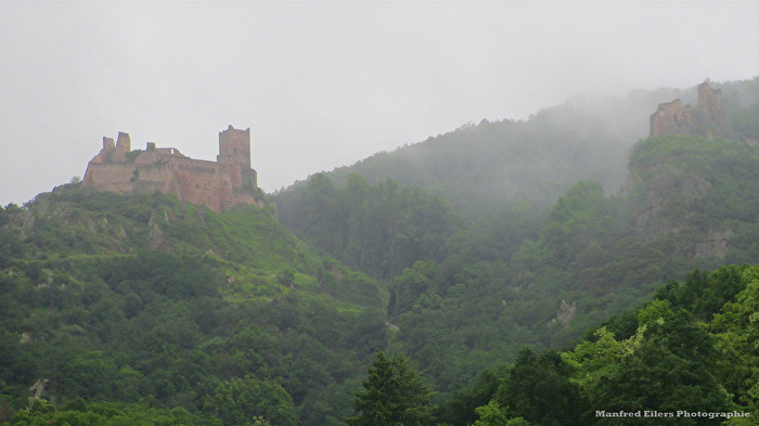 Im Nebel