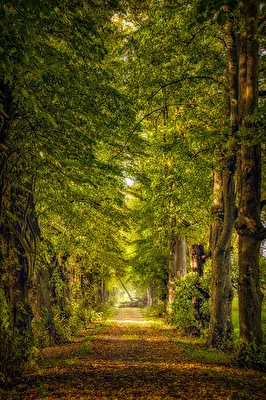 Feldweg