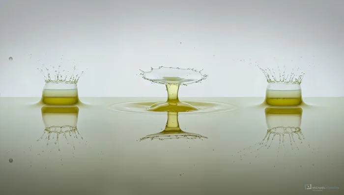 crown meets umbrella