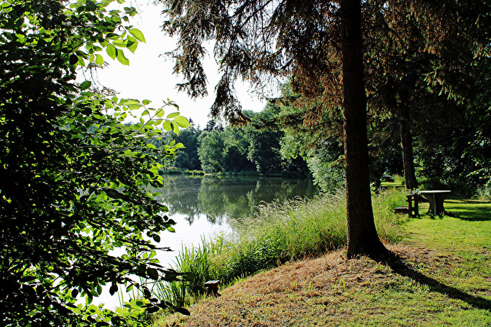 Spaziergang am Teich