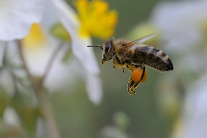 Anflug mit Ladung