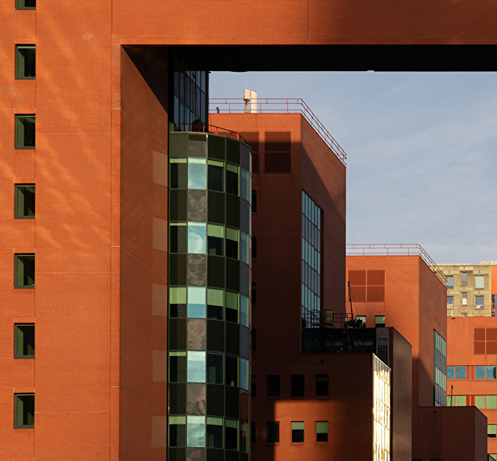 Rotterdam Architecture