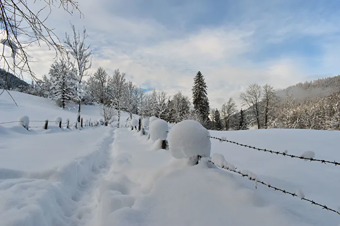 Ein schön verschneiter Tag