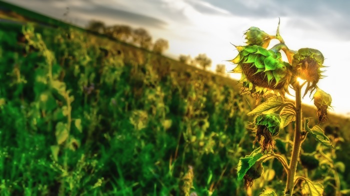 Die Vorboten des Winters....