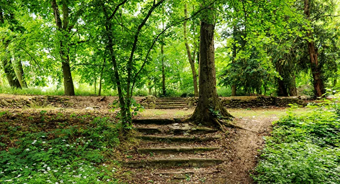 Redewendung