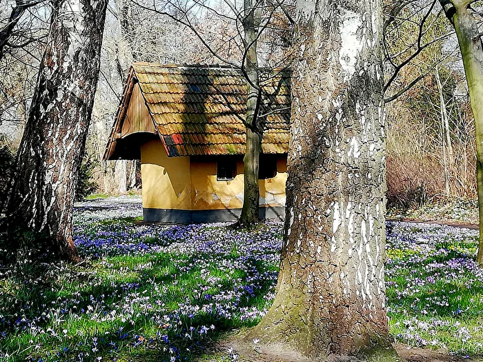 Frühling im Park