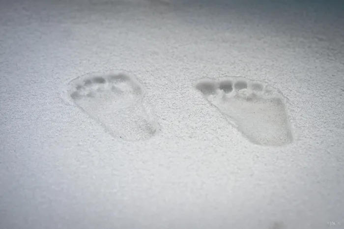 Naked in the Snow