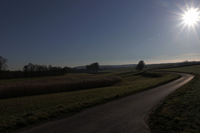 im grün  en